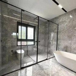 New Design Black Color Stainless Steel Frame Glass Bathroom Shower Door